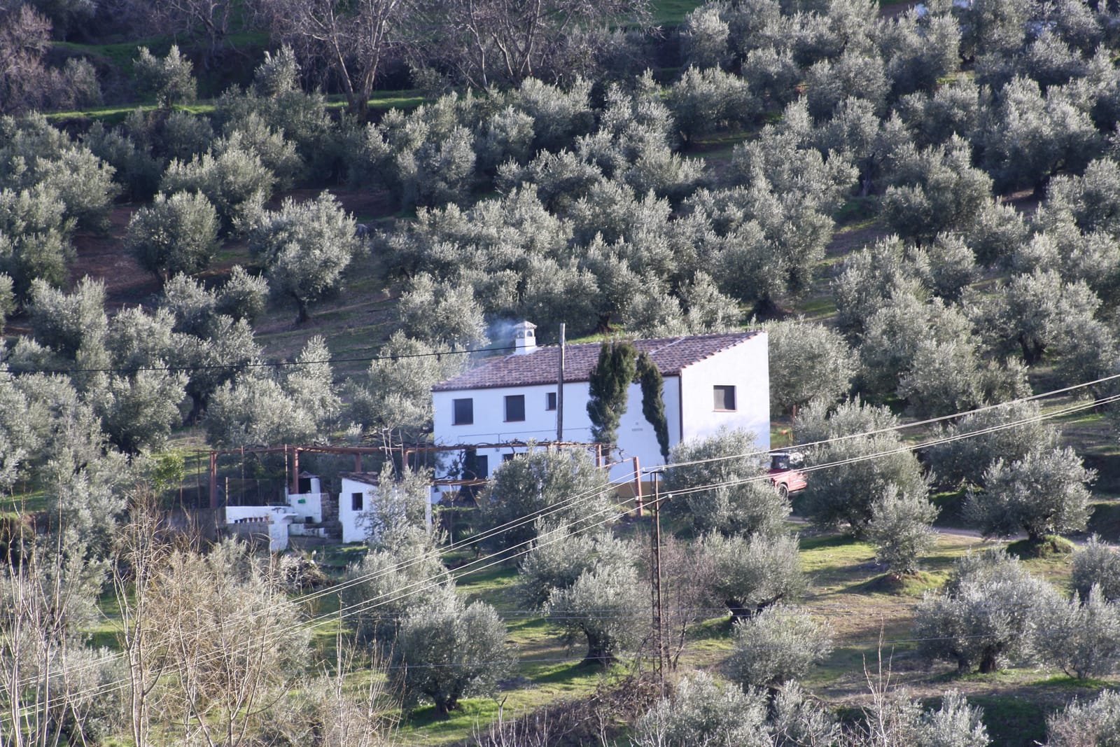 Cortijo La Marquesa